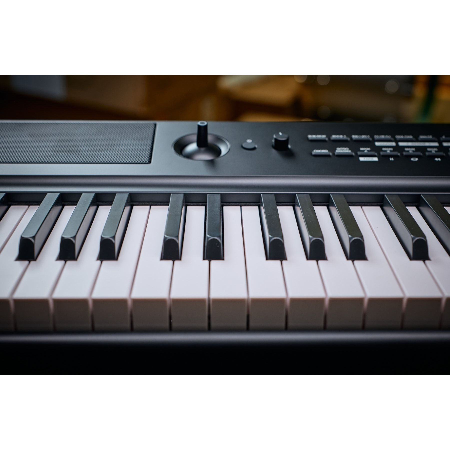 Medeli Performer Series Digital Compact Stage Piano Bluetooth 88 Key in Black