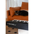 Medeli Performer Series Digital Compact Stage Piano 88 Key in Black