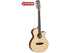 Tanglewood TW12 CE '12 String Super Folk' Electric Acoustic Guitar