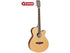 Tanglewood TW9E 'Super Folk Cutaway' Electric Acoustic Guitar