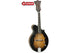 Tanglewood Electric Mandolin, Vintage Sunburst Satin