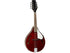 Tanglewood Teardrop Mandolin with F holes, Wine Red Gloss