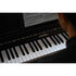 Medeli Forte Series Digital Upright Piano Bluetooth 88 Key in Black Satin