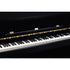 Medeli Forte Series Digital Upright Piano 88 Key in Black Gloss
