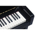 Medeli Forte Series Digital Upright Piano 88 Key in Black Gloss