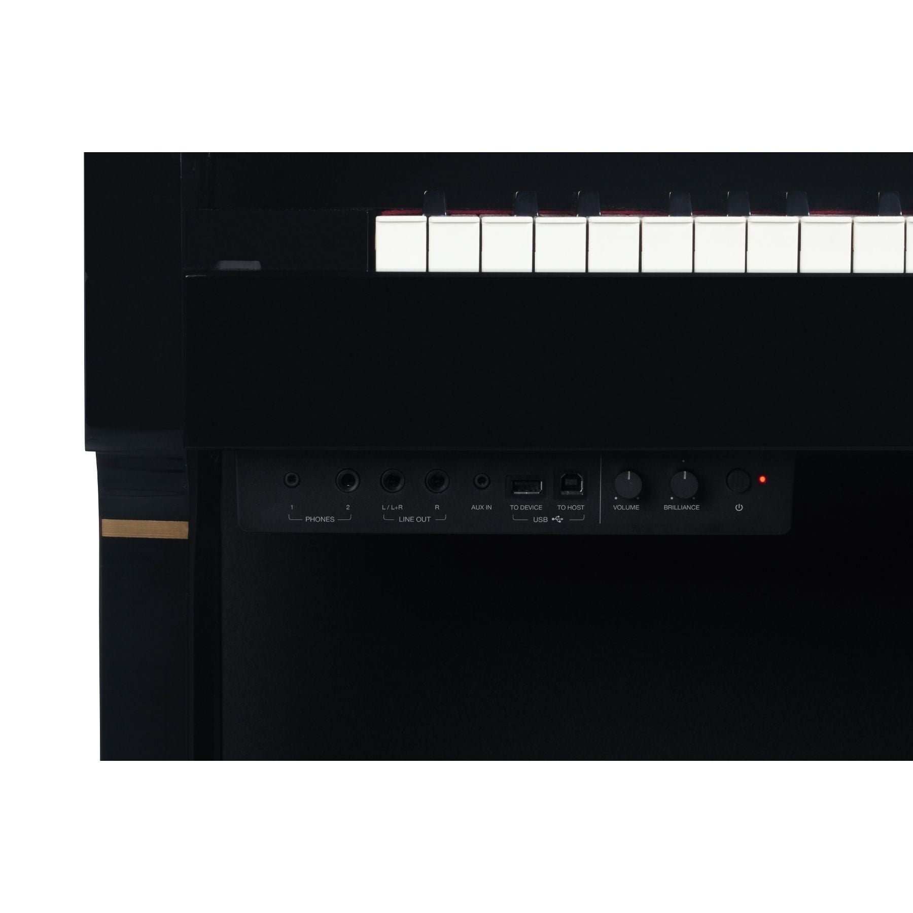 Medeli Forte Series Digital Upright Piano 88 Key in Black Gloss