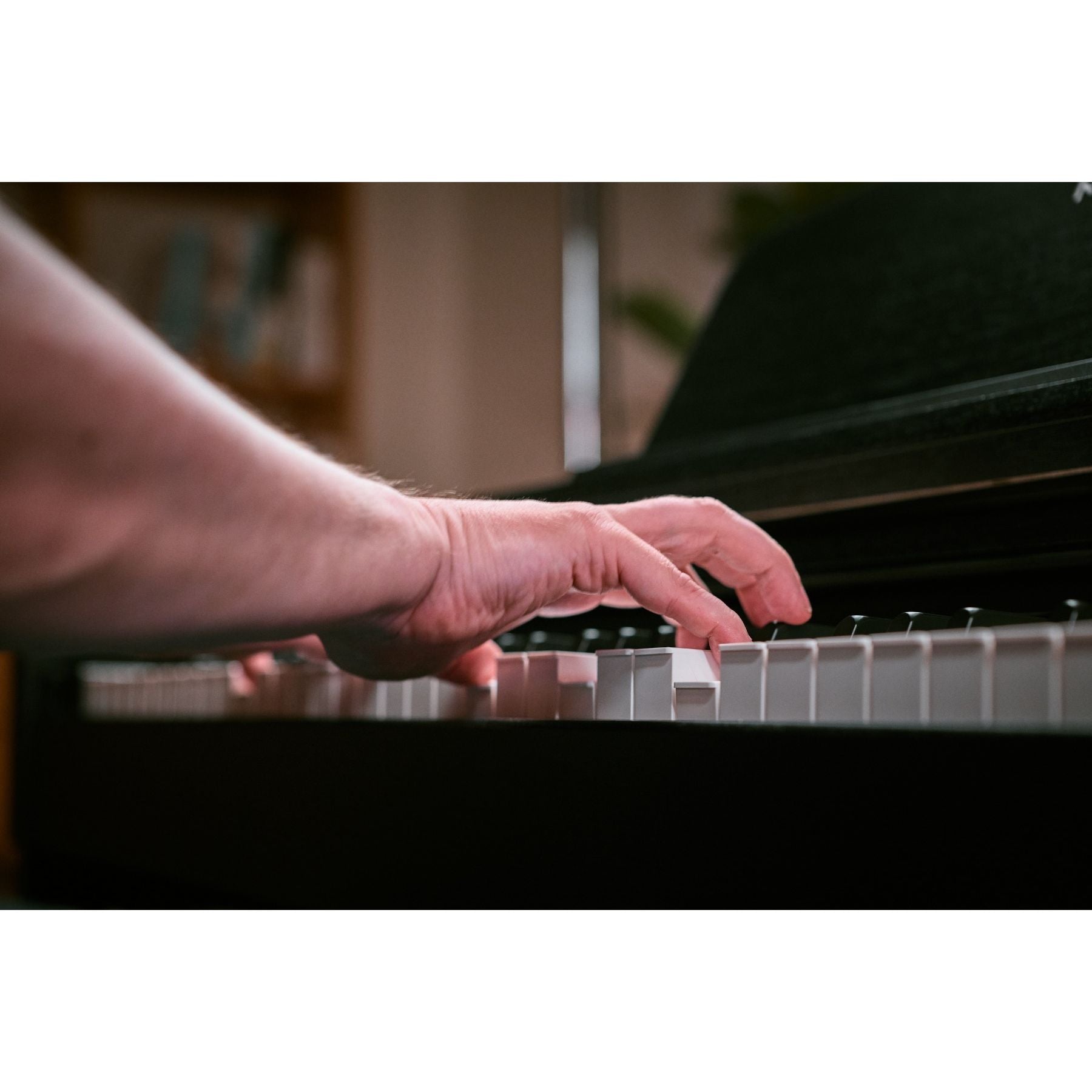Medeli Educational Series Digital Upright Piano 88 Key in Black