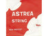 ASTREA VIOLA D STRING - 4/4 SIZE