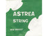 ASTREA VIOLIN A - 1/8-1/16 SIZE