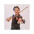 Antoni  ‘Debut’ Violin Outfit ~ 3/4 Size