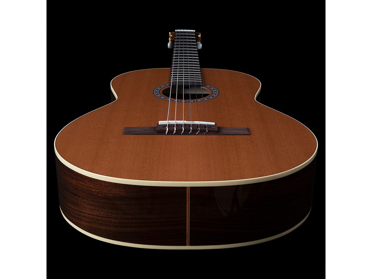 Godin Collection Nylon String Guitar