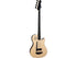 Godin A4 Ultra Semi-Acoustic Fretless Bass Guitar