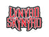 Lynyrd Skynyrd Standard Patch: Logo (Iron on)