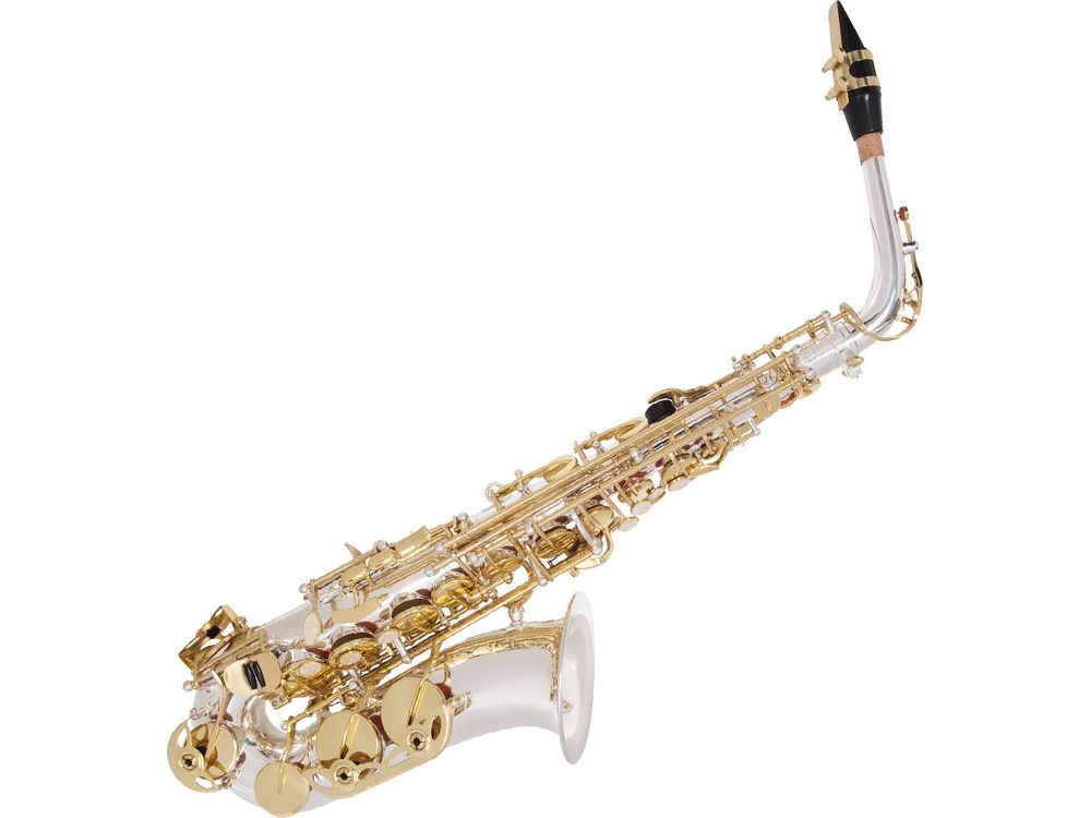 Odyssey Premiere 'Eb' Alto Saxophone Outfit ~ Silver/Gold