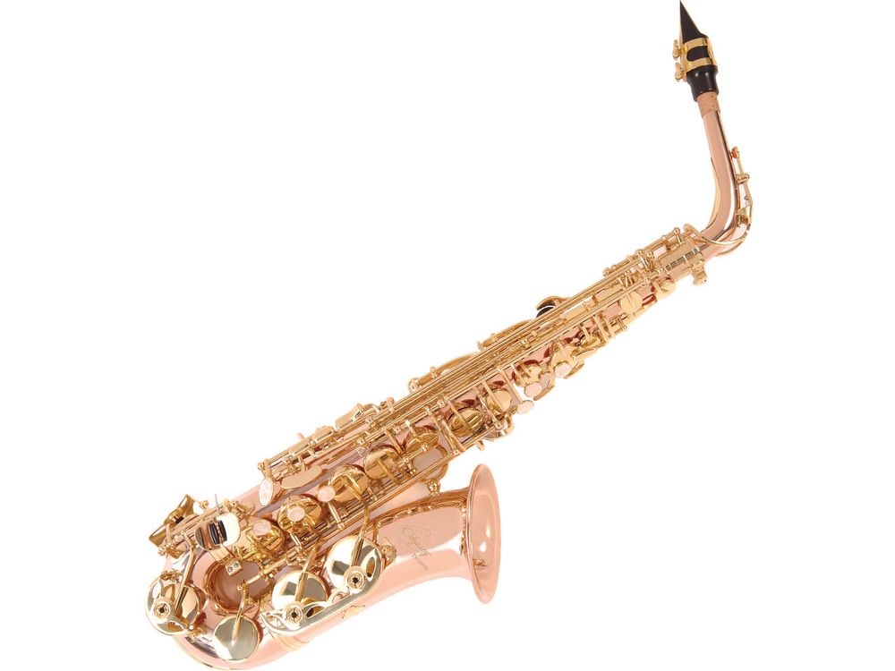 Odyssey Premiere 'Eb' Alto Saxophone Outfit ~ Rose/Gold
