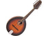 Pilgrim Redwood ~ Round Soundhole Mandolin